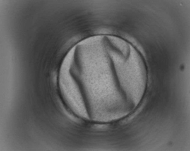 X0000094220057200711241731