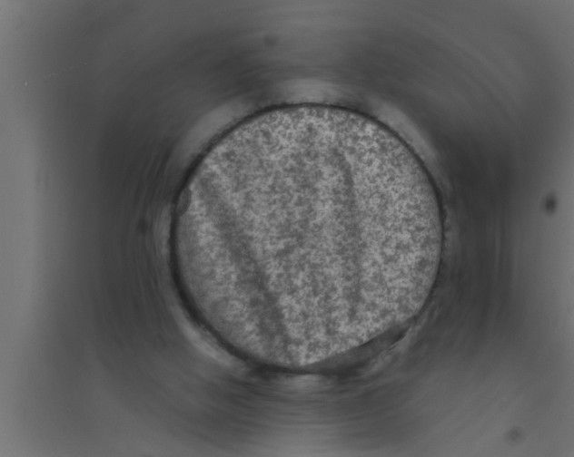 X0000094220058200711241731
