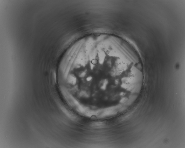X0000094220061200711241731