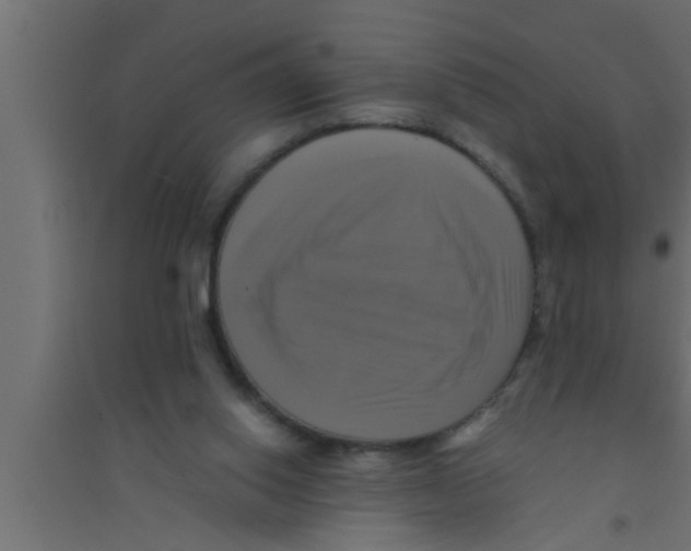 X0000094220062200711241731