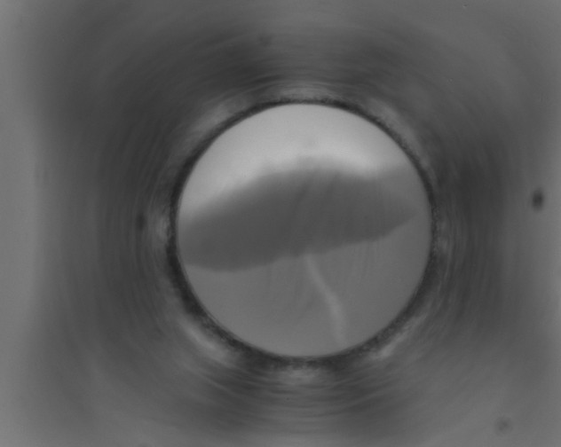 X0000094220063200711241731