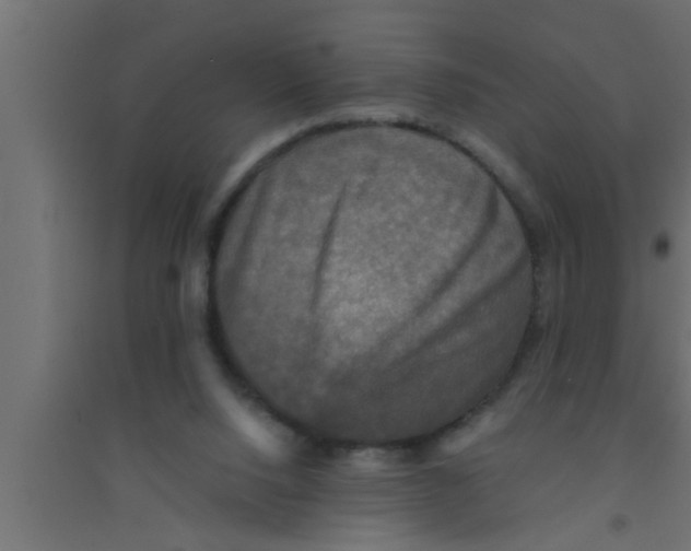 X0000094220064200711241731