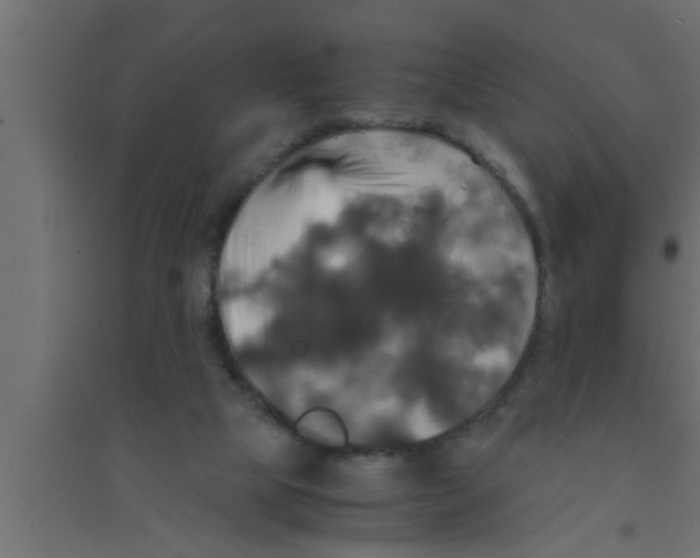 X0000094220065200711241731