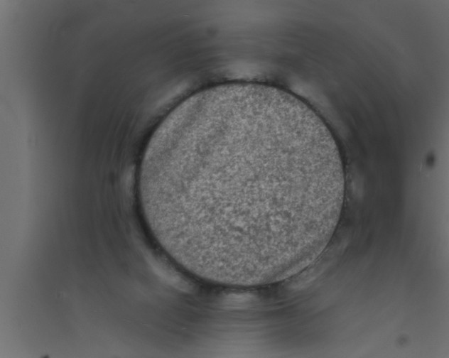 X0000094220066200711241731