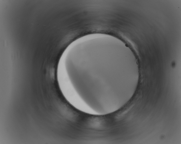 X0000094220067200711241731