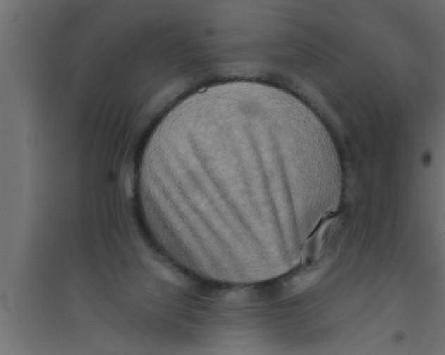 X0000094220068200711241731