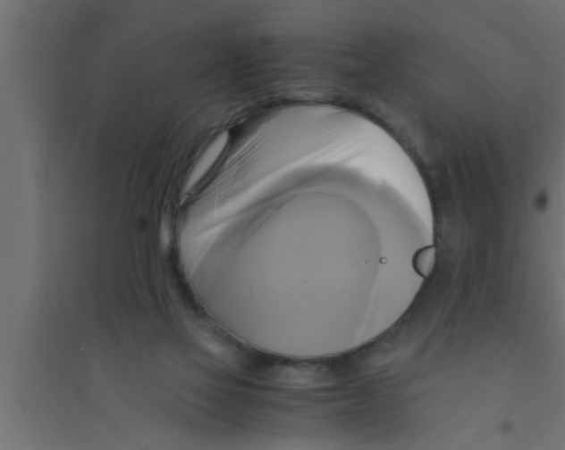 X0000094220069200711241731