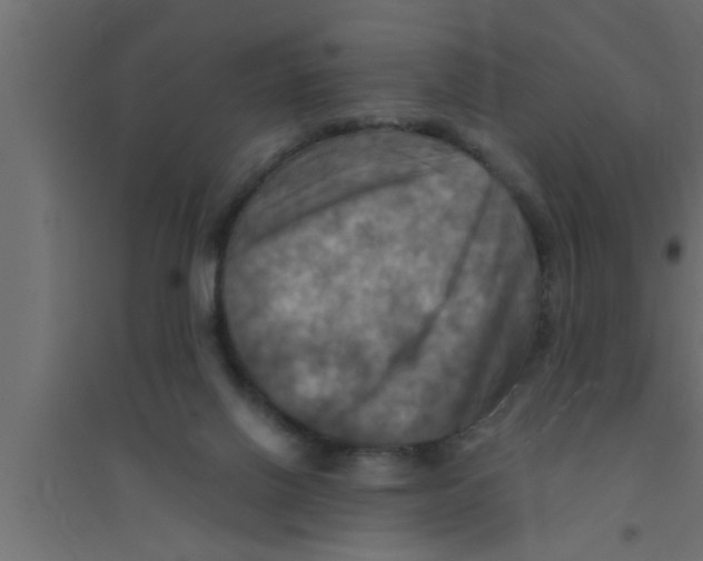 X0000094220070200711241731