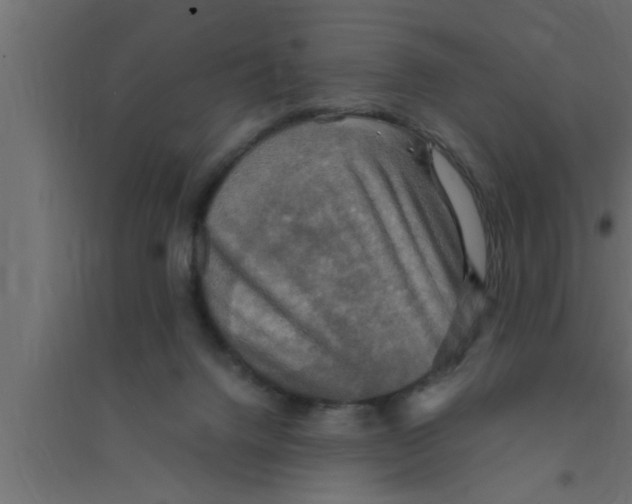 X0000094220072200711241731