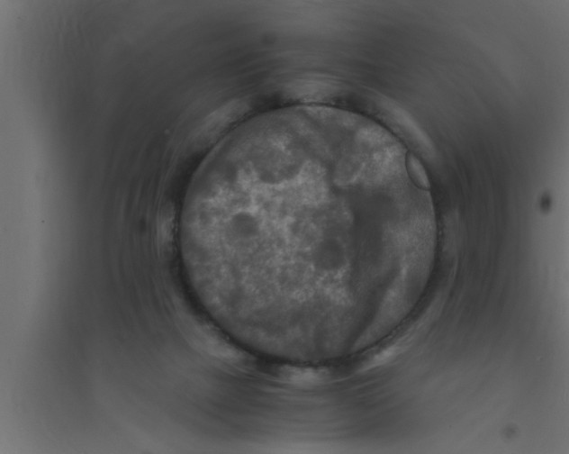 X0000094220073200711241731