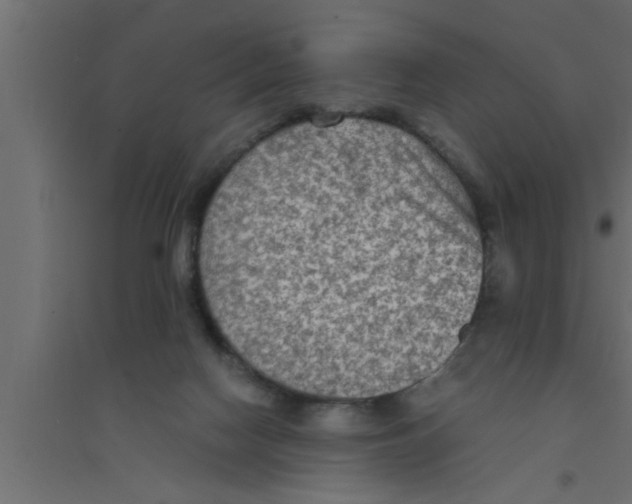 X0000094220074200711241731