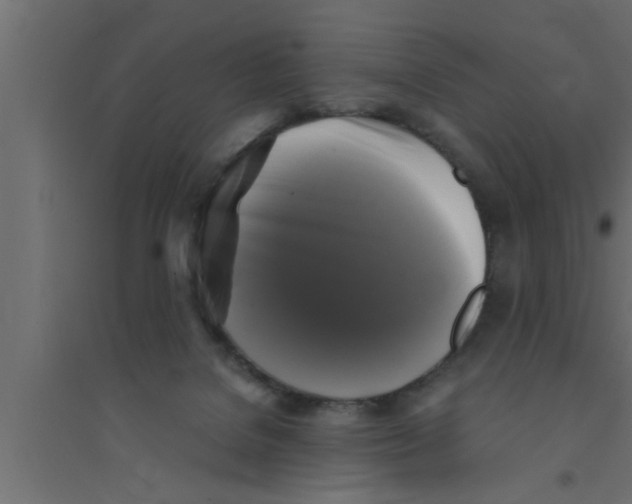 X0000094220076200711241731
