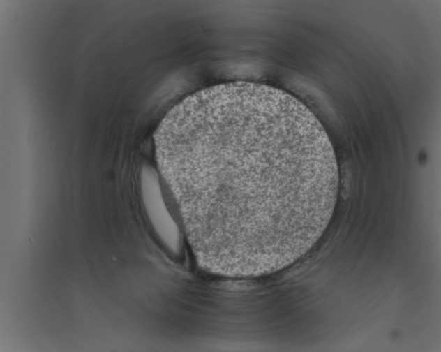 X0000094220077200711241731