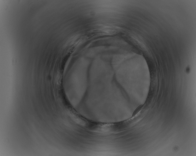 X0000094220078200711241731