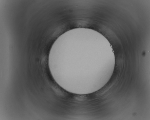 X0000094220079200711241731