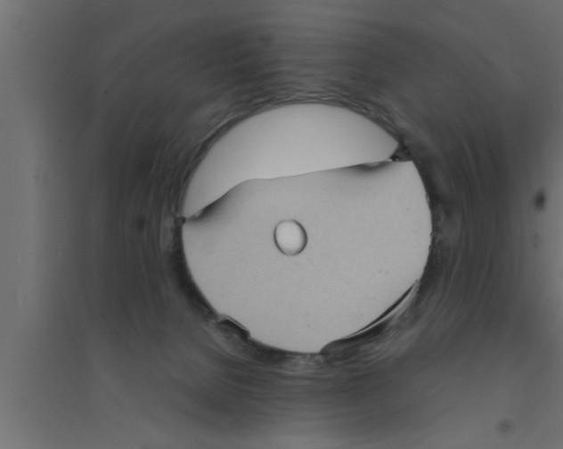 X0000094220080200711241731