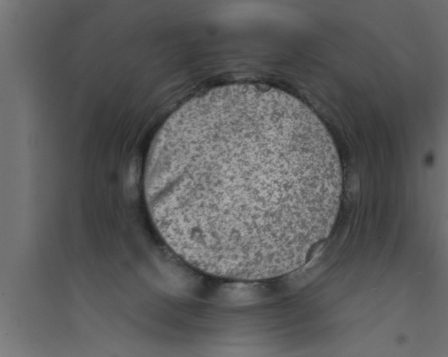 X0000094220082200711241731