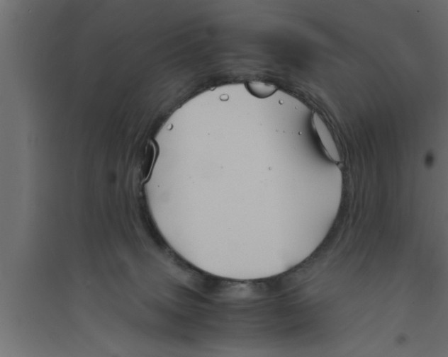 X0000094220083200711241731