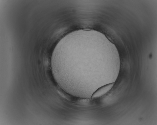 X0000094220084200711241732