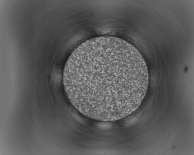 X0000094220085200711241732