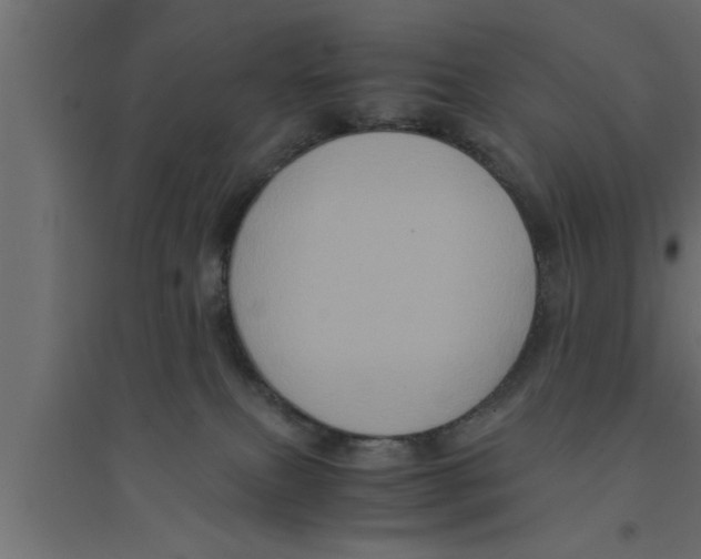 X0000094220087200711241732