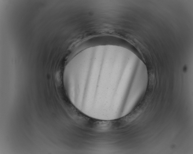 X0000094220088200711241732