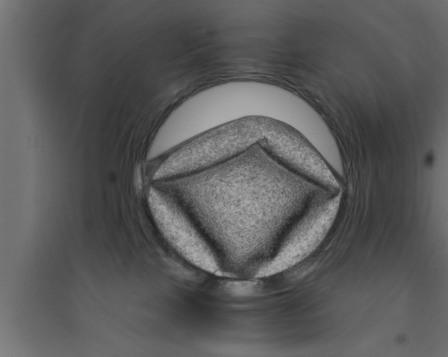 X0000094220089200711241732