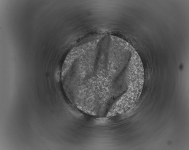 X0000094220090200711241732