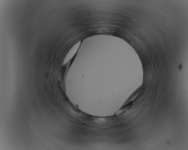 X0000094220091200711241732