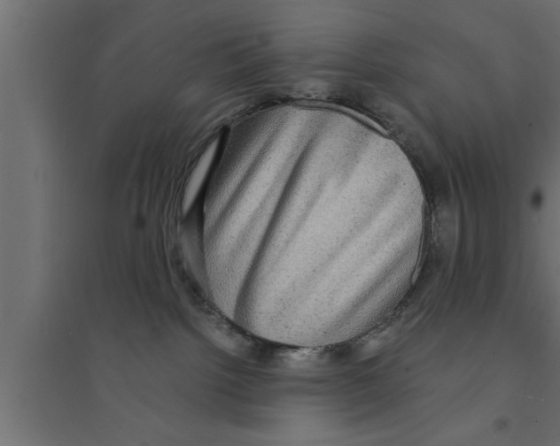 X0000094220092200711241732