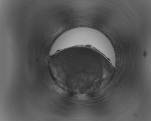 X0000094220093200711241732