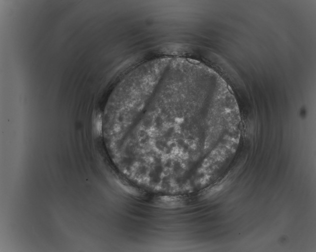 X0000094220095200711241732