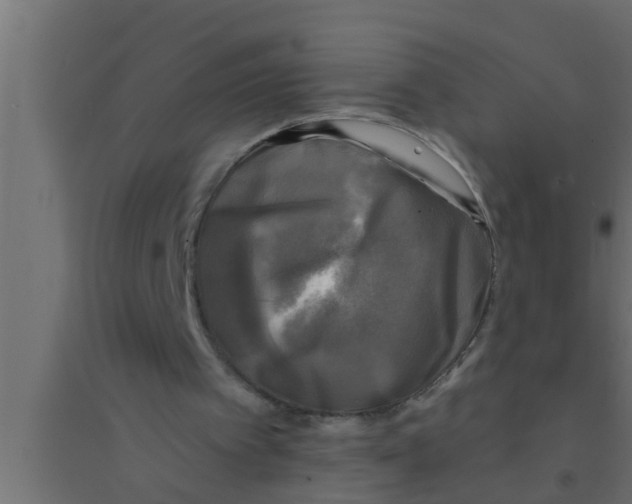 X0000094220097200711241731