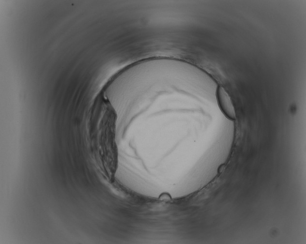 X0000094220098200711241731