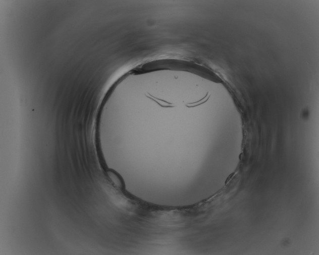 X0000094220100200711241731