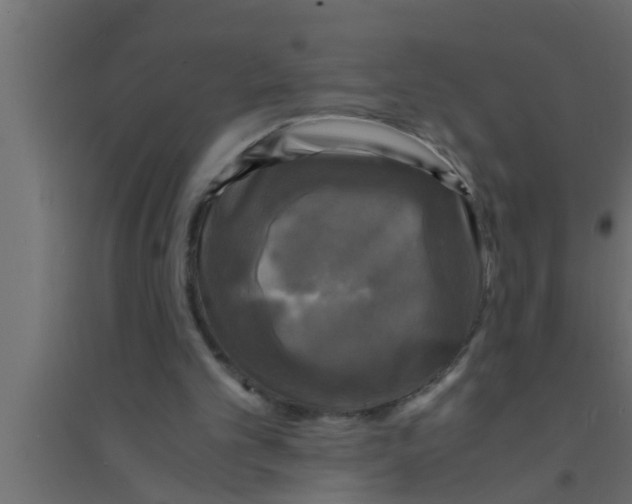 X0000094220101200711241731