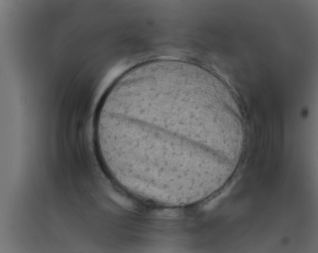 X0000094220102200711241731
