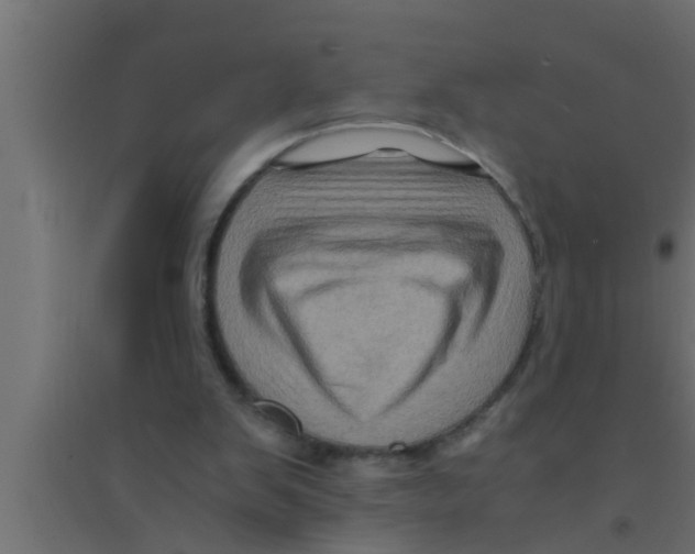 X0000094220103200711241731