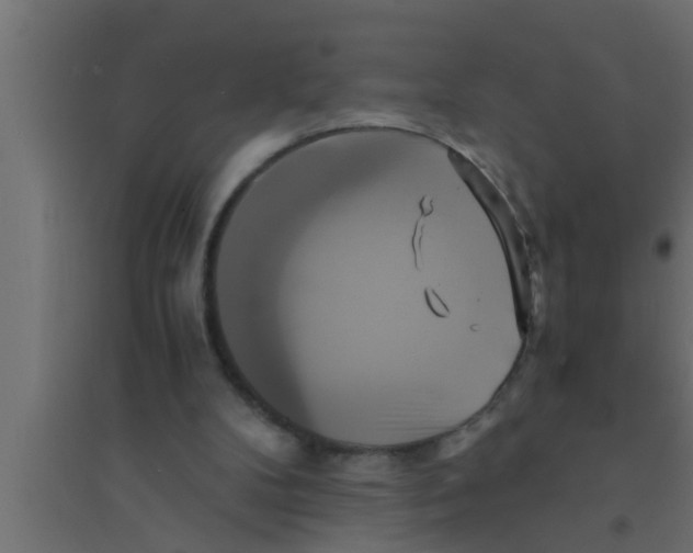 X0000094220104200711241731