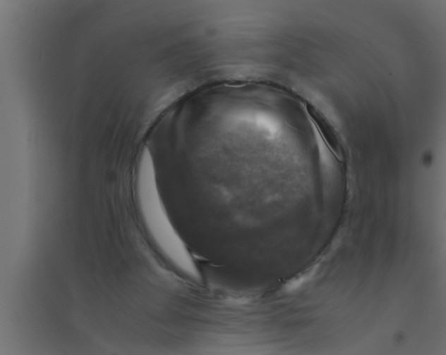 X0000094220105200711241731