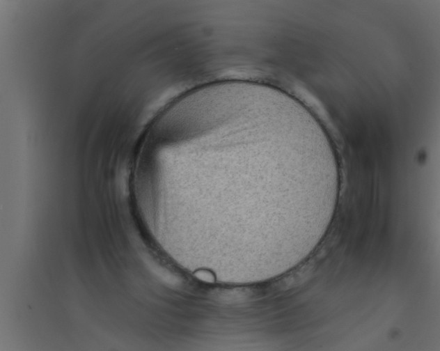X0000094220106200711241731