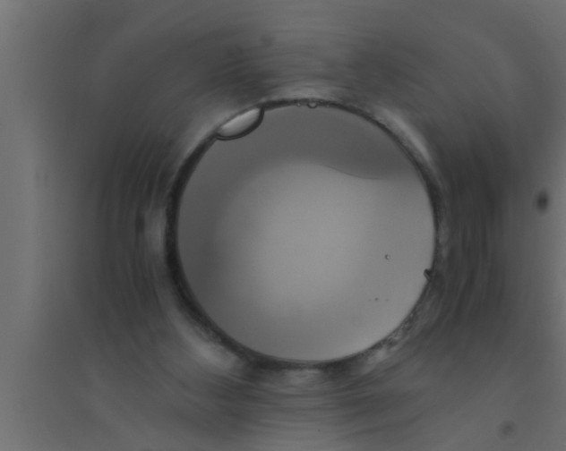 X0000094220108200711241731