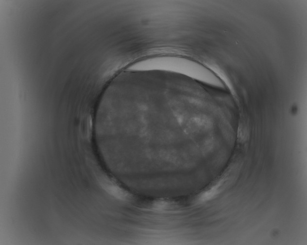 X0000094220109200711241730