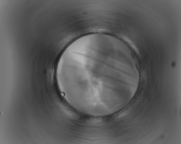 X0000094220110200711241730