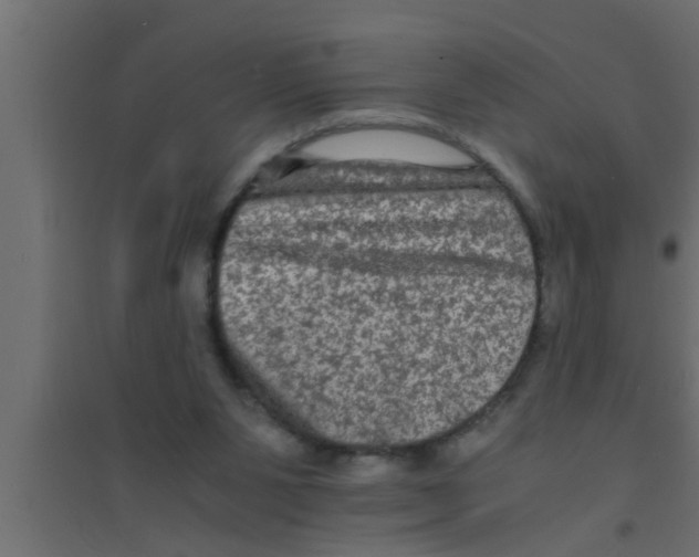 X0000094220111200711241730