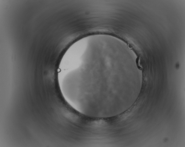 X0000094220112200711241730