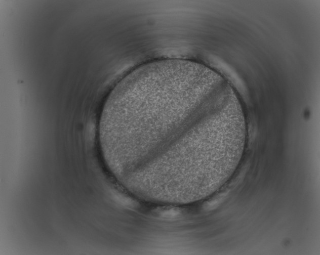 X0000094220113200711241730
