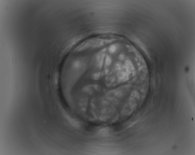 X0000094220115200711241730