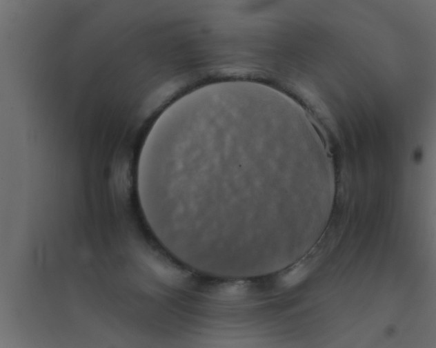 X0000094220116200711241730