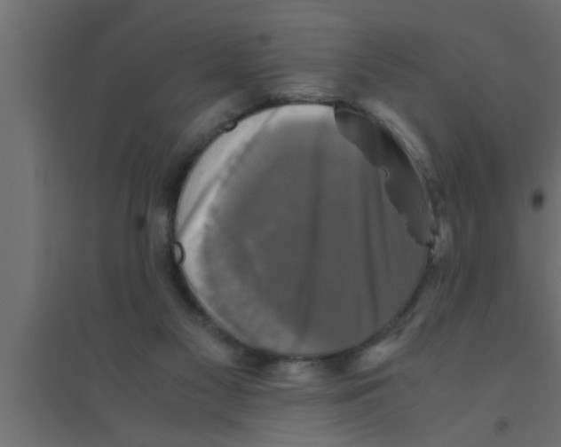 X0000094220117200711241730